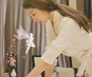 上海浦东区四季养生SPA：顺应天时的中医智慧与现代应用